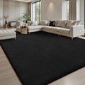 Sour Lemon 8x10 Area Rugs for Living Room, Soft Large Area Rug Fluffy Rugs for by SourLemon
