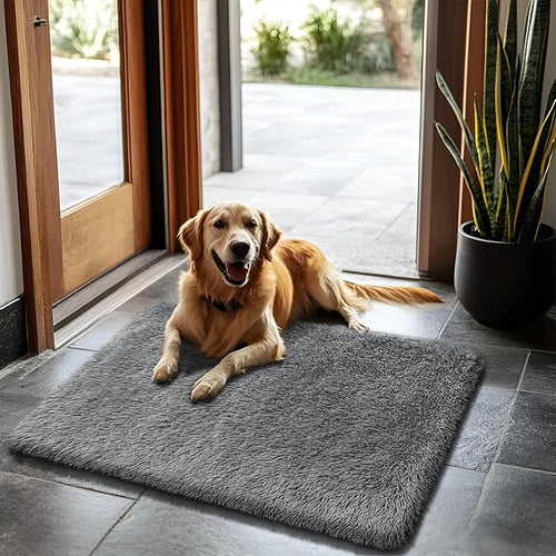 2x3 Fluffy Area Rugs for Bedroom Living Room, Small Soft Shag Fuzzy Rug by yulidayang