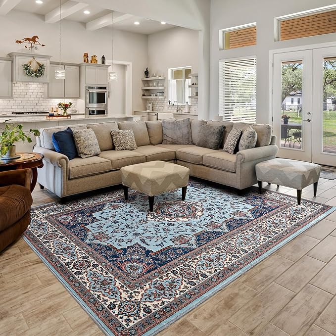 Area Rug for Living Room, Machine Washable Blue Rugs for Bedroom, 4x6Ft by Rtizon