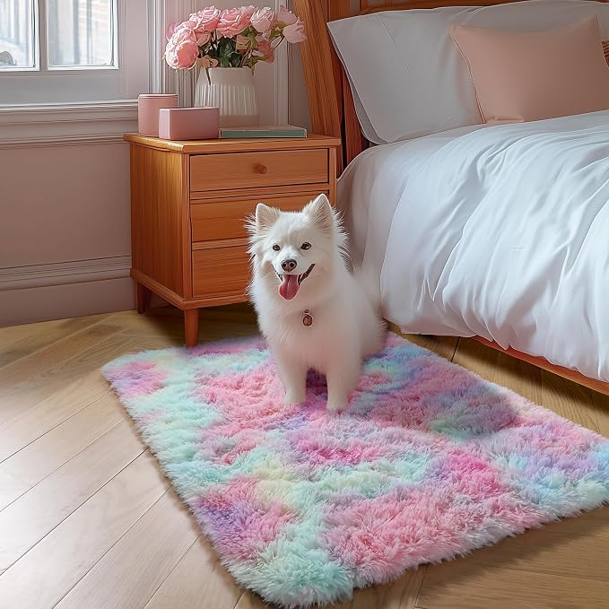Amdrebio Rainbow 2x3 Small Area Rugs - Image 7