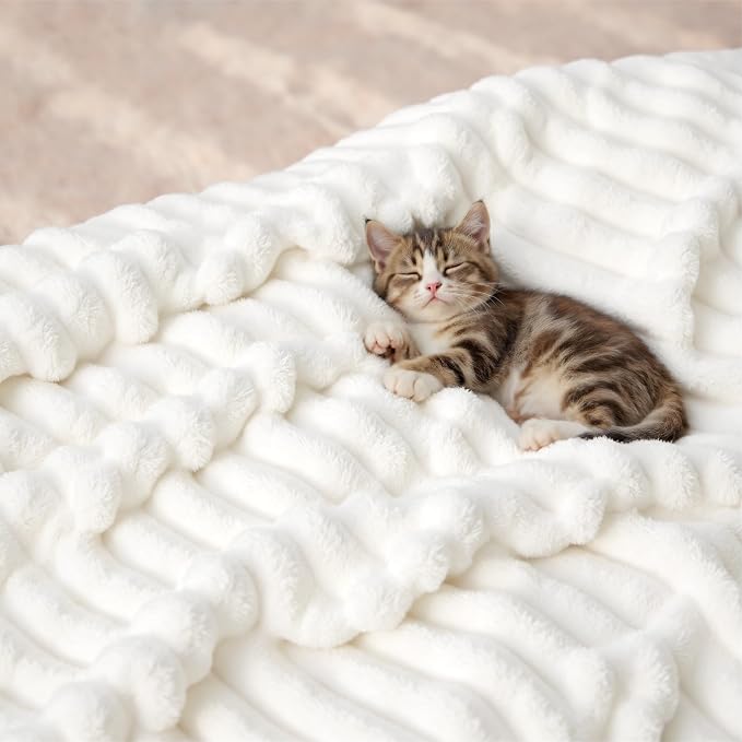 Bedsure GentleSoft King Size Blanket - Image 8