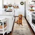 3x6 Kitchen Washable Runner Rug by EISUROM