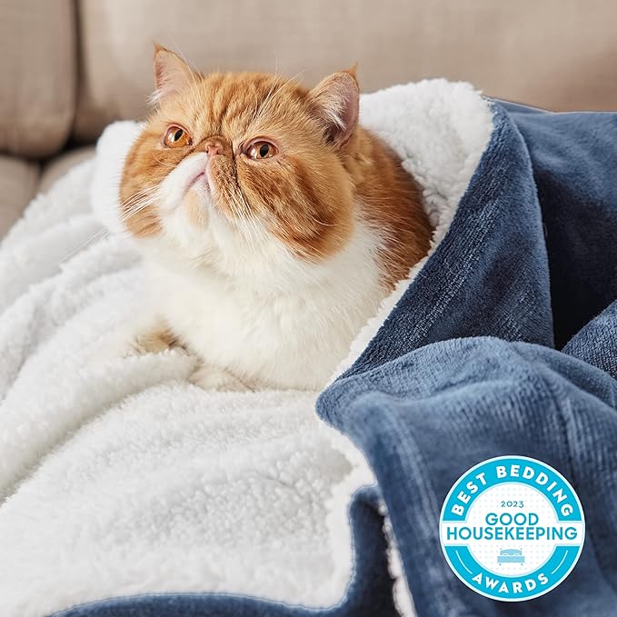 Bedsure GentleSoft Sherpa Fleece Throw Blanket - Image 2