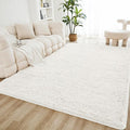 Litanika 4x6 Shag Area Rug for Living Room Bedroom, Non-Shedding Modern Indoor by Litanika