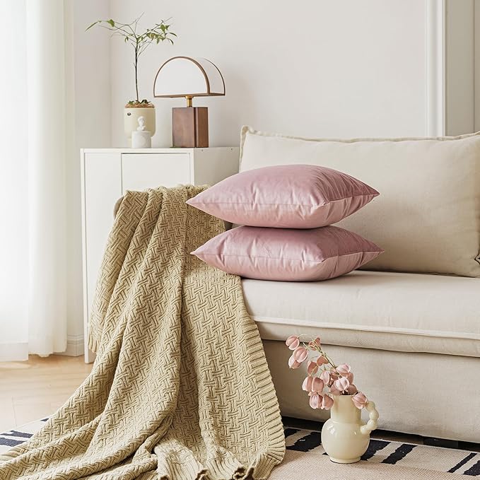 NiNi ALL Decorative Throw Pillow Covers Pack of 2, Velvet Throw Pillow Cases - Image 3