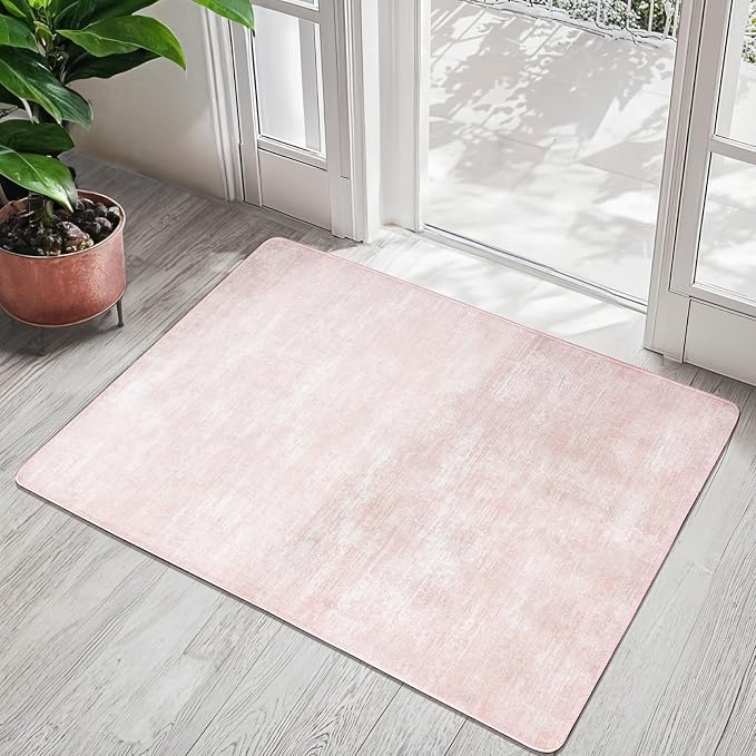 LIANLAM Washable 2x3 Entry Rugs by LIANLAM