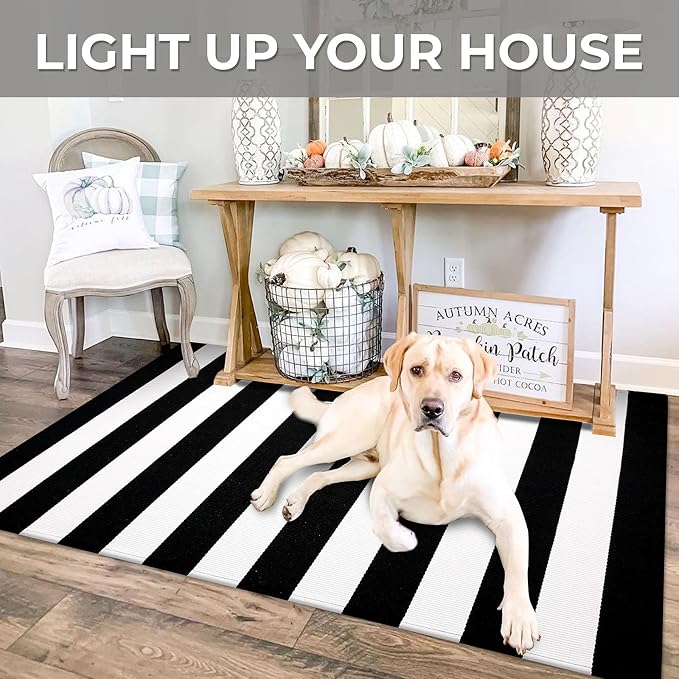 IOHOUZE Black White Striped Rug -3x5 Front Door Mats Outdoor, Washable Rug - Image 4