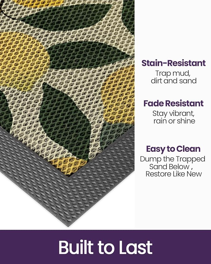 DEXI Front Door Mat Outside Entrance, 3x5 Lemon Welcome Doormat, Non Slip Dirt - Image 3
