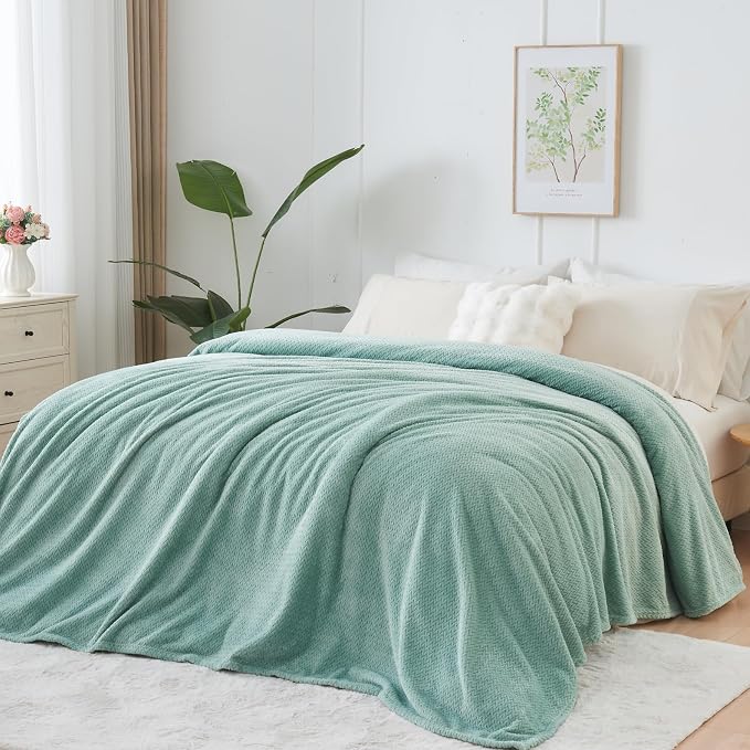 NEWCOSPLAY Super Soft Queen Blanket New Sage Green Premium Silky Flannel Fleece - Image 3