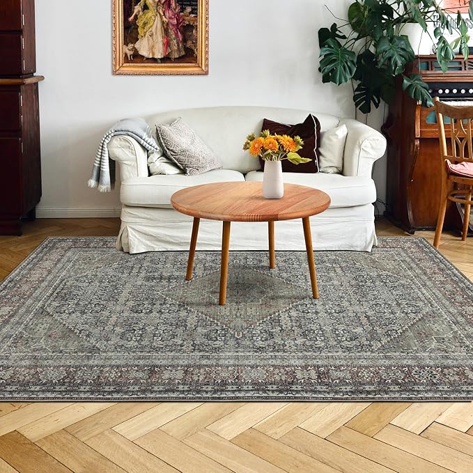 Area Rug 4×6, Vintage Boho Rug, Ultra-Soft Low Pile, Non Slip, Stain Resistant by DomitapisRug