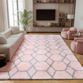 ONASAR 5x7 Area Rugs for Living Room Bedroom, Fluffy Pink and Grey Throw Rug by ONASAR