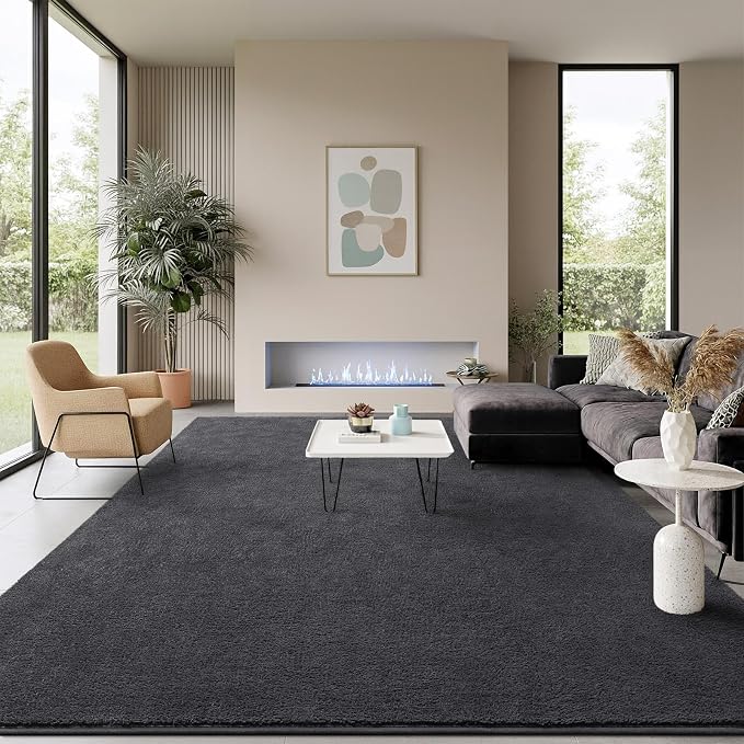 Soft Rugs for Living Room 6x9 Dark Grey, Minimalist Area Rug for Bedroom by BBENRON