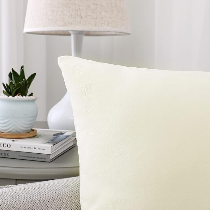 NiNi ALL Decorative Throw Pillow Covers Velvet 16x16 Inch Pack of 2 Cream White - Image 3