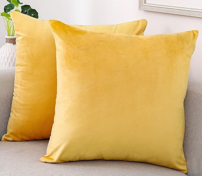 NiNi ALL Decorative Throw Pillow Covers Velvet Soft by NiNiALL