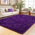 Area Rug for Living Room 6x9, Ultra Soft Shaggy Area Rugs for Bedroom, Upgrade by Unknown