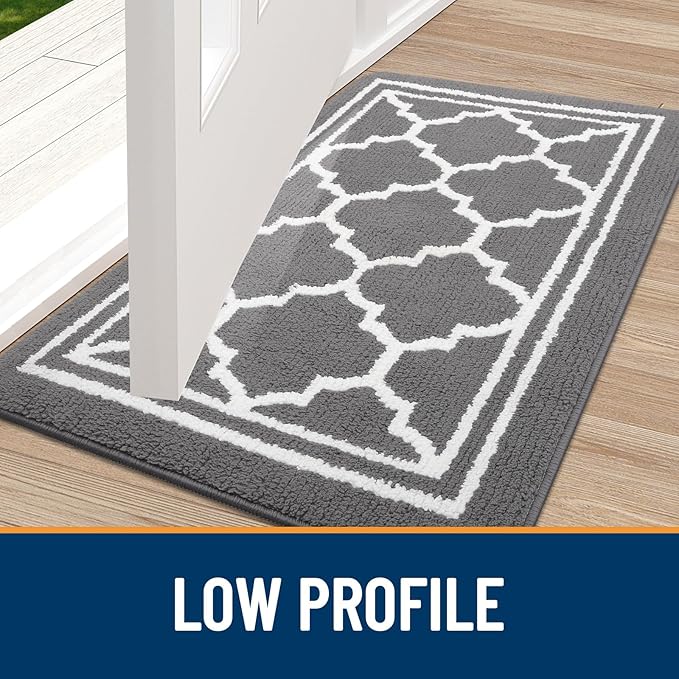 Buganda Large Indoor Door Mat, Dirt-Resistant and Absorbent Doormat, Low - Image 3