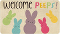Easter Door Mat, Spring Bunny Indoor Outdoor Non-Slip Doormat, Entryway Front by Xsinufn