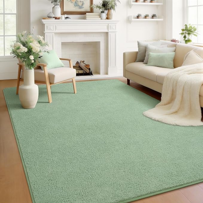Soft Rugs for Living Room 5x7 Light Green, Modern Area Rug for Bedroom Nursery by BBENRON