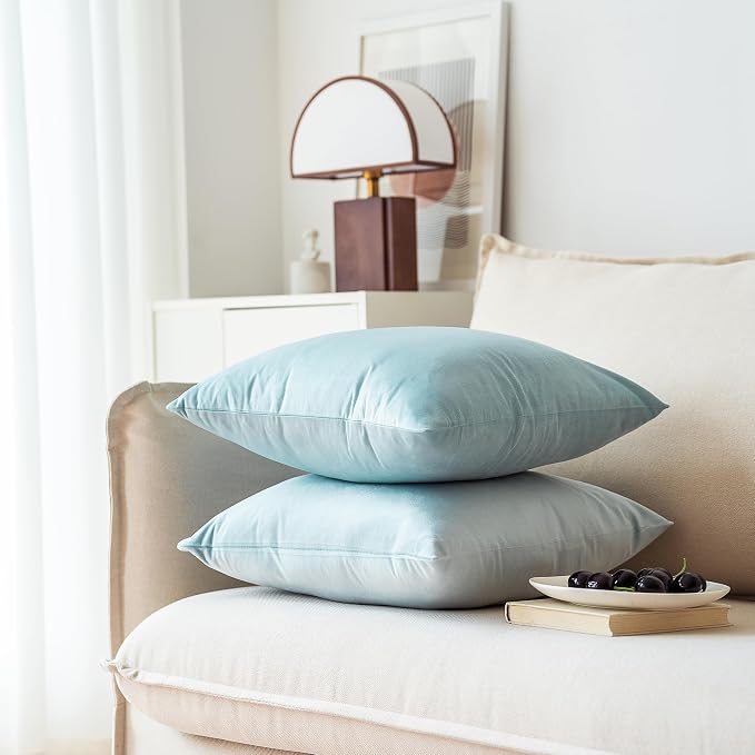 NiNi ALL Decorative Throw Pillow Covers Pack of 2, Velvet Throw Pillow Cases - Image 3