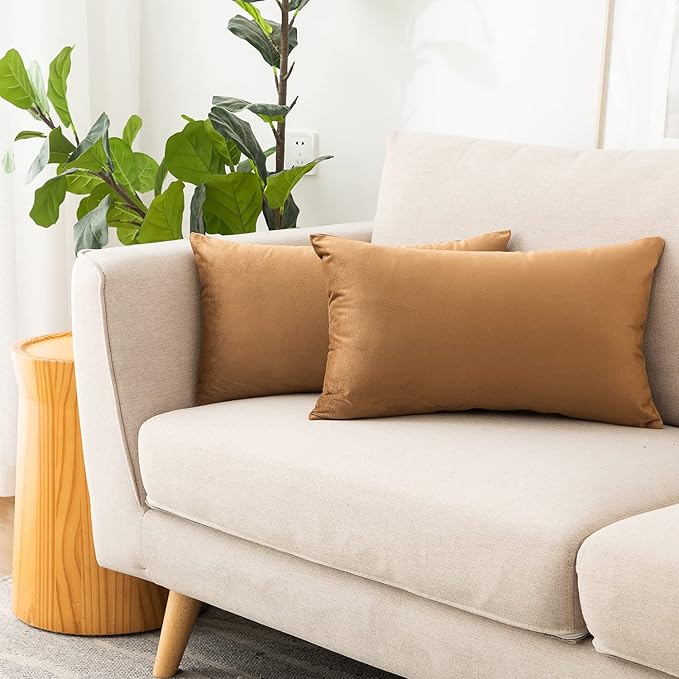 NiNi ALL Decorative Throw Pillow Covers Pack of 2, Velvet Cushion Case by NiNiALL