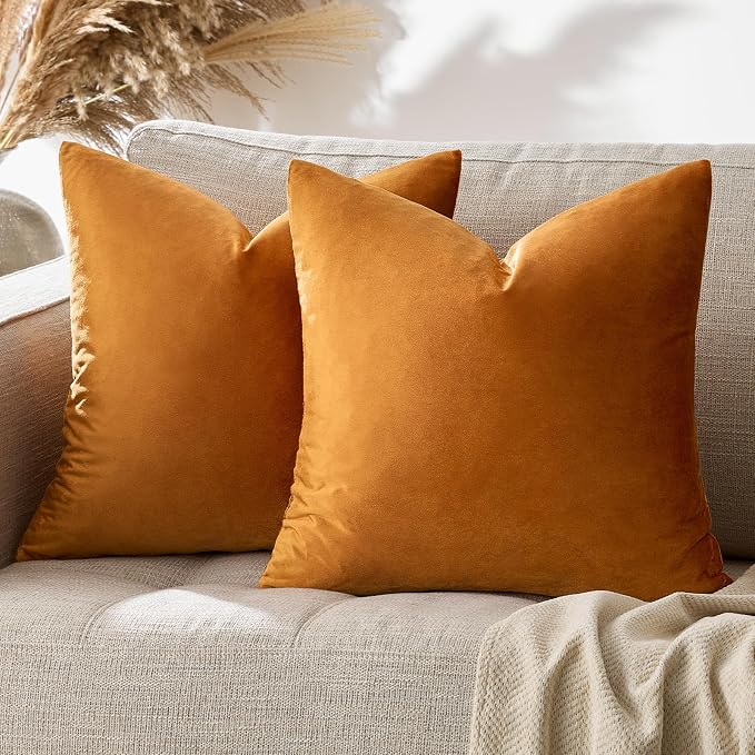 GIGIZAZA Decorative Throw Pillow Covers 16x16, Velvet Sofa Boho Cushion Pillows - Image 6