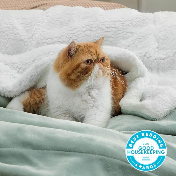 Bedsure GentleSoft Sherpa Fleece Throw Blanket - Image 2