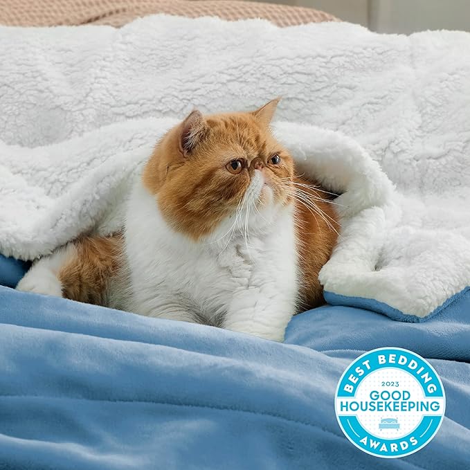 Bedsure GentleSoft Sherpa Fleece Throw Blanket - Image 2