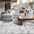 4x6 Area Rugs for Living Room, Small Washable Non Slip Entry Rugs, Vintage Boho by OHWPEAT