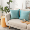 NiNi ALL Decorative Throw Pillow Covers Velvet 22x22 Inch Pack of 2 Light Blue by NiNiALL