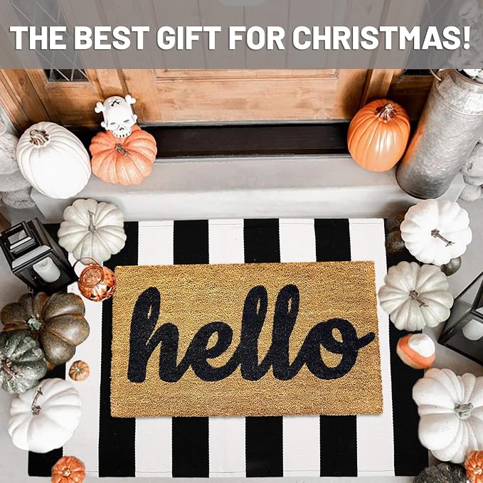 IOHOUZE Black White Striped Rug -27.5" X 43" Front Door Mats Outdoor, Washable - Image 2