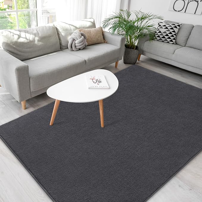 Soft Rugs for Living Room 4x6 Dark Grey, Minimalist Area Rug for Bedroom - Image 7