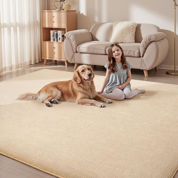 Sour Lemon 10x14 Area Rugs for Living Room, Soft Large Area Rug Fluffy Rugs for - Image 5