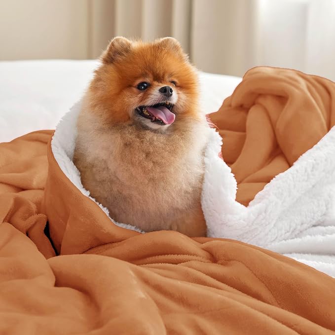 Bedsure GentleSoft Sherpa Fleece Twin Size Blanket - Image 2