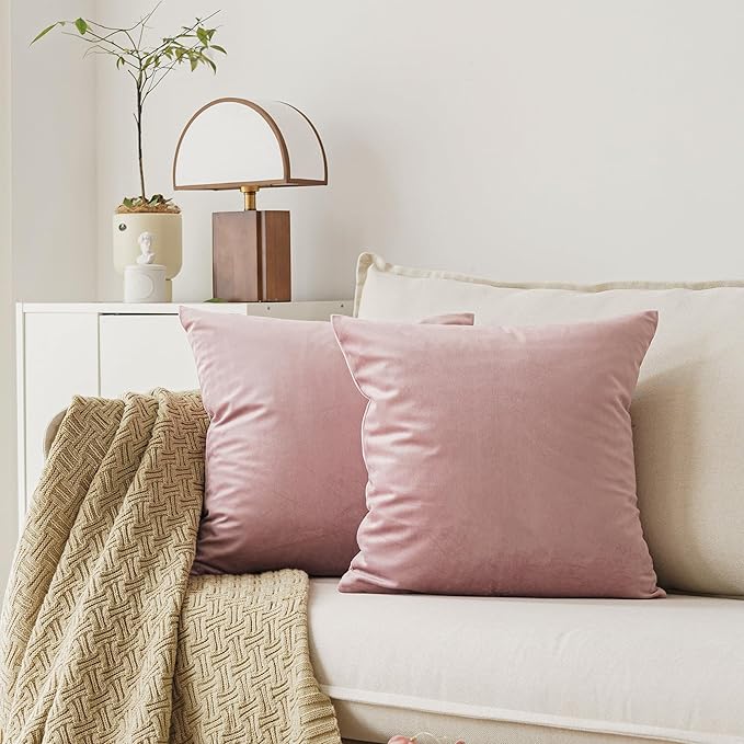NiNi ALL Decorative Throw Pillow Covers Pack of 2, Velvet Throw Pillow Cases by NiNiALL