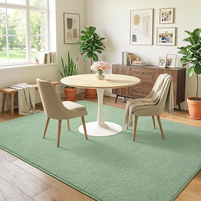 Soft Rugs for Living Room 5x7 Light Green, Modern Area Rug for Bedroom Nursery - Image 4