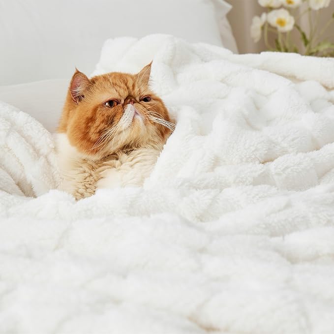 Bedsure GentleSoft King Size Blanket - Image 6