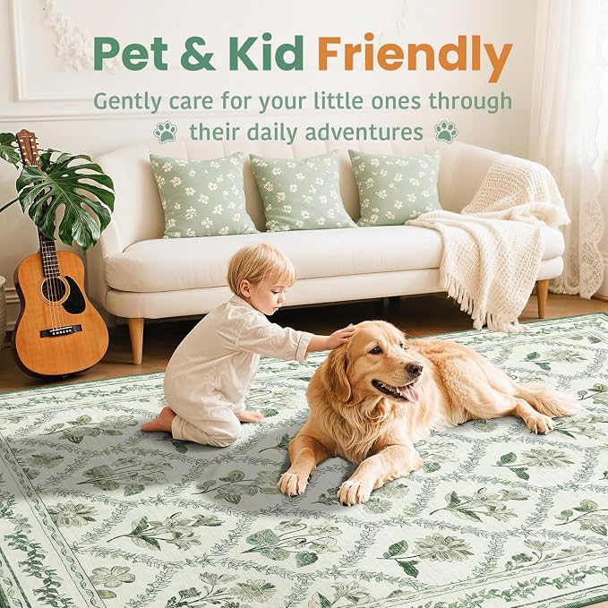 LIANLAM Washable Rug Area Rugs for Living Room - Image 4