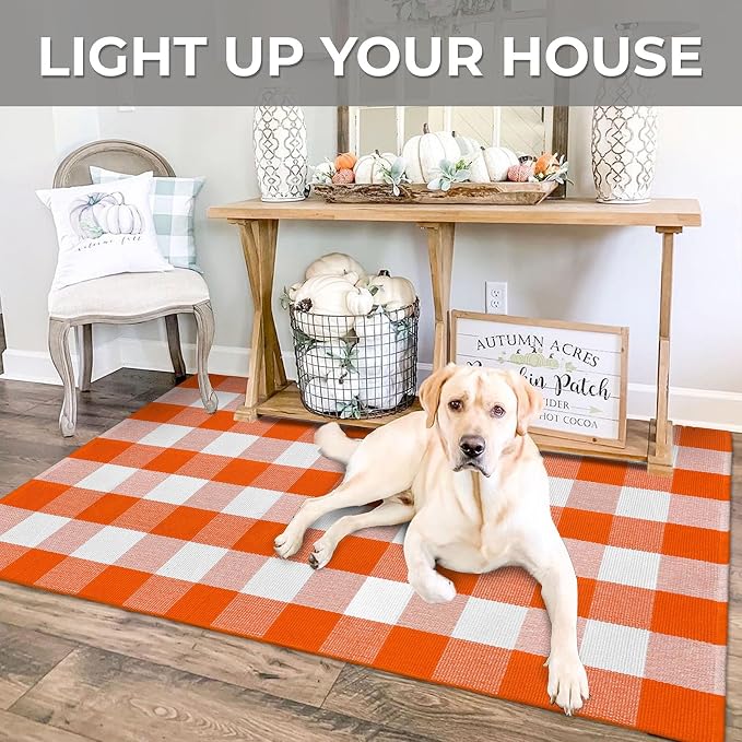 IOHOUZE Fall Buffalo Plaid Check Rug Outdoor Doormat 3x5 Ft Washable Woven - Image 4