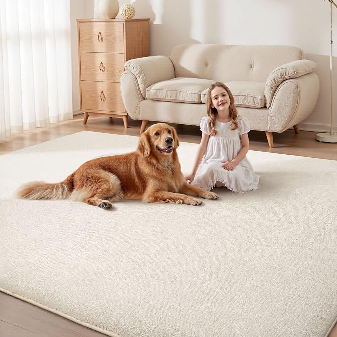 Sour Lemon 8x10 Area Rugs for Living Room, Soft Large Area Rug Fluffy Rugs for - Image 5