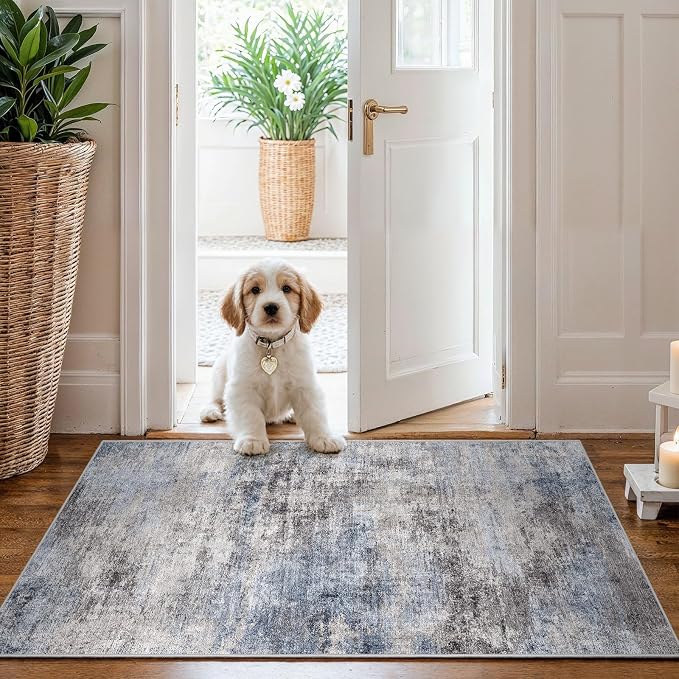 Washable Non-Slip 2x3 Area Rug by EISUROM