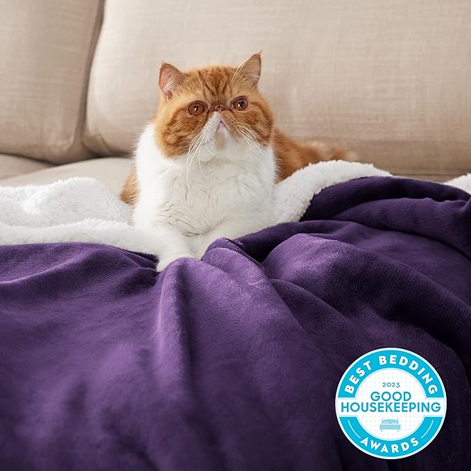 Bedsure GentleSoft Sherpa Fleece Blanket Queen Size - Image 2