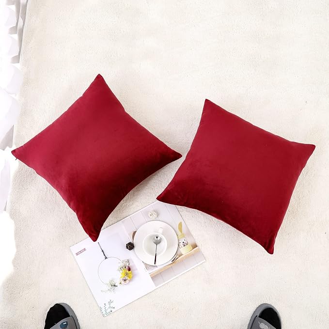 NiNi ALL Decorative Throw Pillow Covers Pack of 2, Velvet Throw Pillow Cases - Image 2