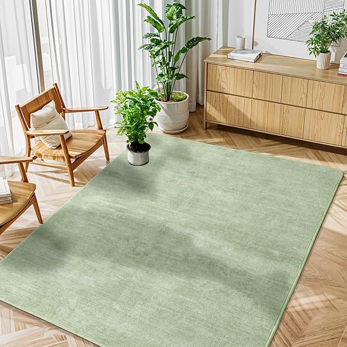 LIANLAM Washable Rug 4x6 Area Rugs - Image 2