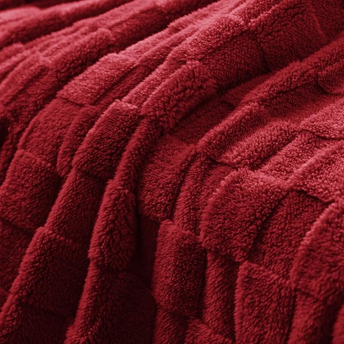 Exclusivo Mezcla Twin Size Flannel Fleece Blanket, Super Soft and Warm - Image 4