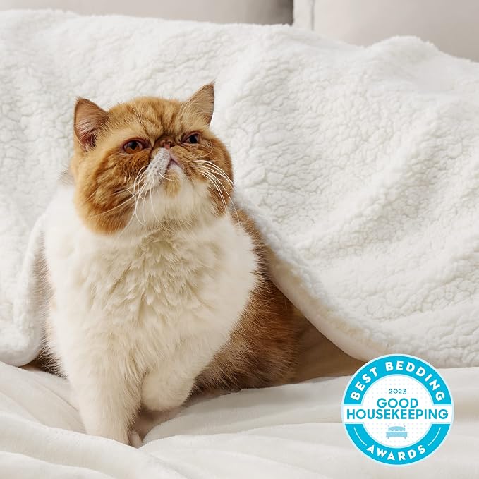 Bedsure GentleSoft Sherpa Fleece Throw Blanket - Image 2