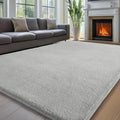 Sour Lemon 8x10 Area Rugs for Living Room, Soft Large Area Rug Fluffy Rugs for by SourLemon