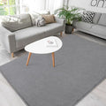 Soft Rugs for Living Room 4x6 Grey, Minimalist Area Rug for Bedroom Nursery by BBENRON