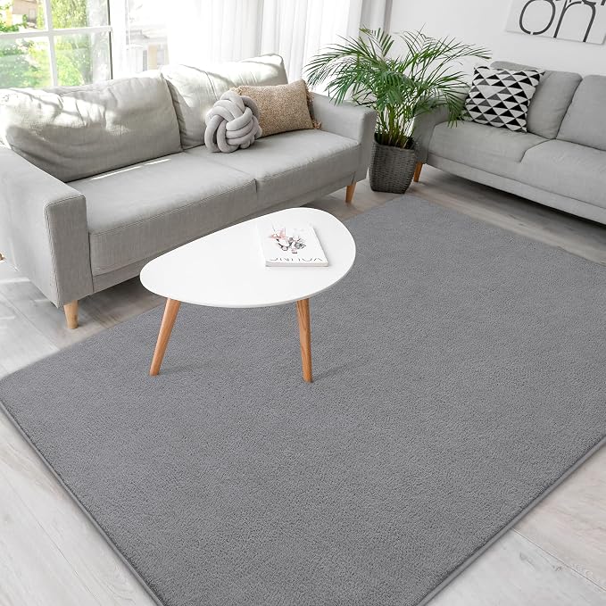 Soft Rugs for Living Room 4x6 Grey, Minimalist Area Rug for Bedroom Nursery by BBENRON