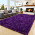 Area Rugs 9x12 Living Room, Ultra Soft Shaggy Fluffy Rug by Unknown