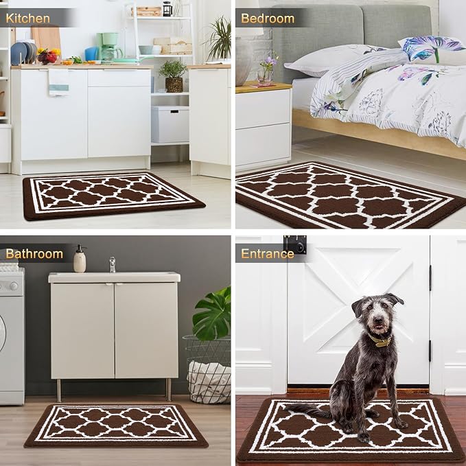 Buganda Large Indoor Door Mat, Dirt-Resistant and Absorbent Doormat, Low - Image 6
